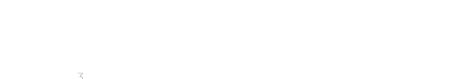INTEGRAL